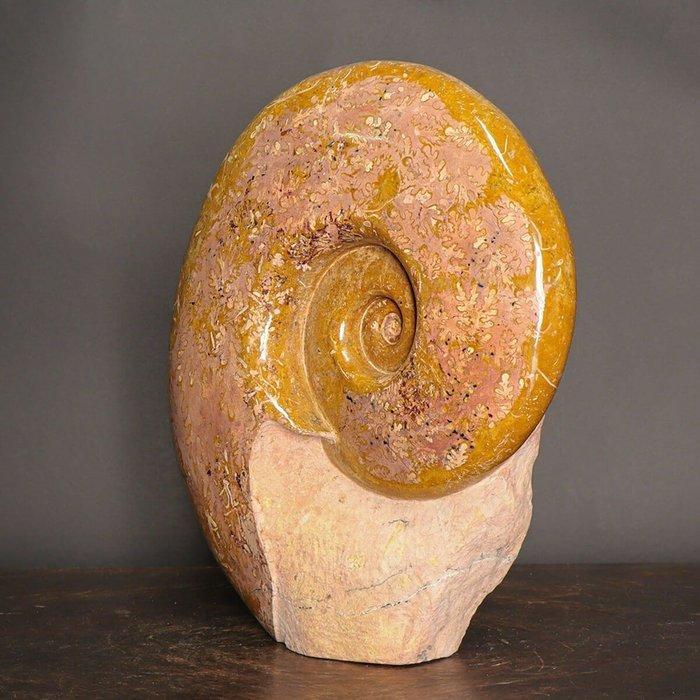 Uitzonderlijke oranje ammoniet - - Fossiel fragment -, Antiquités & Art, Curiosités & Brocante