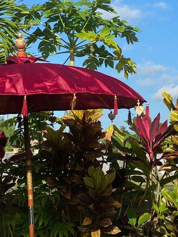 Decoratief ornament - Indonesië - Traditionele parasol