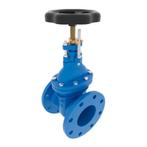 Bieden: High-Quality DN50 PN16 Marine Globe Valve – Durable, Ophalen of Verzenden, Nieuw