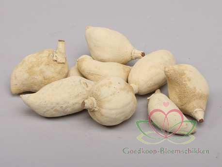 Baobab noten light 500 gr Baobab, Hobby en Vrije tijd, Knutselen, Nieuw