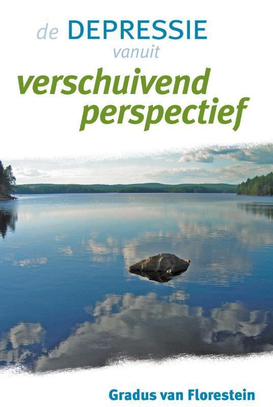 Depressie vanuit verschuivend perspectief 9789077247983, Boeken, Psychologie, Gelezen, Verzenden