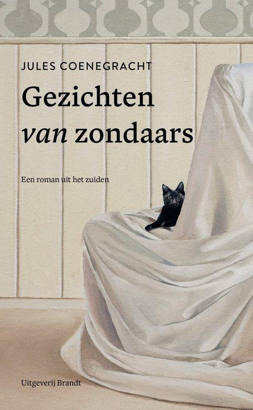 Gezichten van zondaars 9789493319097 Jules Coenegracht, Livres, Romans, Envoi