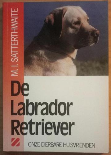 Labrador retriever 9789062485543 Satterthwaite, Verzenden, Satterthwaite