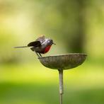 Figuur - Roodborst drinkbak op metalen staaf - Metaal, Antiek en Kunst