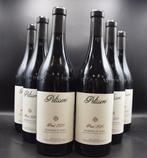 2020 Pelissero, Barbera dAlba Piani - Piëmont - 6 Flessen