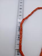 Bloedkoraal Koraal - Corallium rubrum (Zonder Minimumprijs), Verzamelen, Nieuw