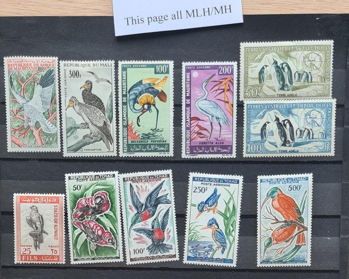 Wereld - d94) Uitzoekpartij Wereld Dieren vlinders honden, Timbres & Monnaies, Timbres | Amérique