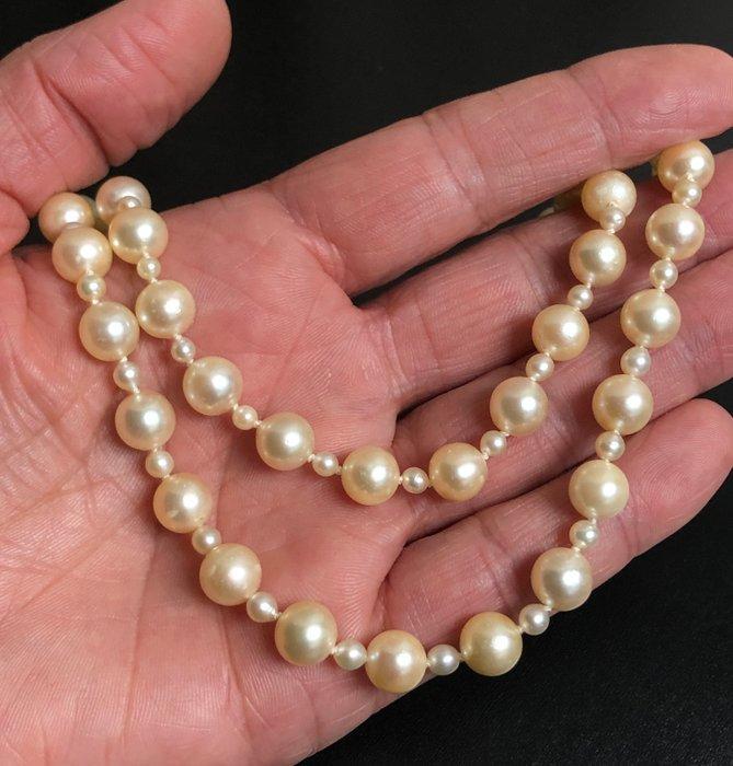 Sans prix de réserve - Collier - 18 carats Or blanc, Or, Handtassen en Accessoires, Kettingen