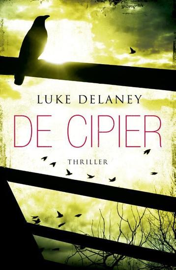 De cipier 9789000322770 Luke Delaney, Verzenden, Luke Delaney