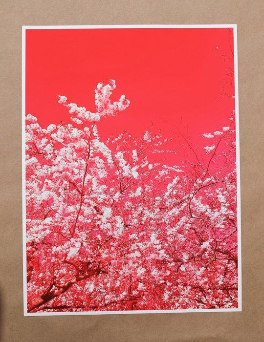 Viet Ha Tran - The colors of spring X, Antiquités & Art, Art | Objets design