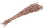 Lino Grass Vlas Linum Droogbloem Bundel Orange 100 gram, Nieuw