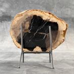 Magnifique tranche de bois pétrifié sur un support