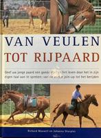 Van veulen tot rijpaard 9789062488209 R. Maxwell, Verzenden, Gelezen, R. Maxwell