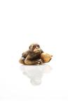 Netsuke - Olifanten ivoor - Een mooie ivoren netsuke van een