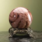 Octopus op Sterk Water Taxidermie Opgezette Dieren By Max, Ophalen of Verzenden, Nieuw, Wild dier, Opgezet dier