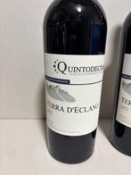 2022 Quintodecimo Terra dEclano - Campania - 2 Flessen, Nieuw