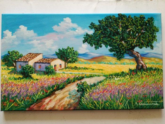Antonino Cammarata (1962) - Casolari nella piana (Sicilia), Antiquités & Art, Art | Peinture | Classique