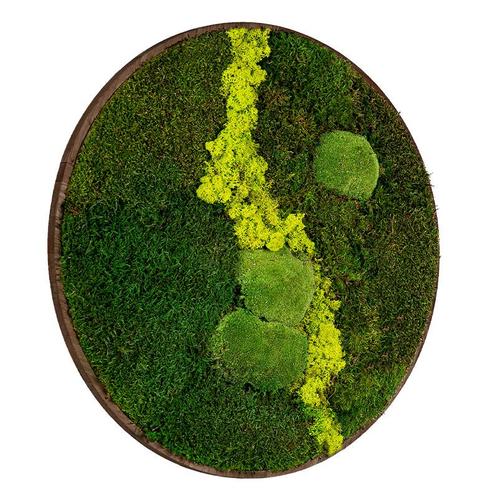 Mosschilderij Rond 40 cm Donker Eiken - Uppsala Lentegroen, Maison & Meubles, Accessoires pour la Maison | Cadres, Envoi