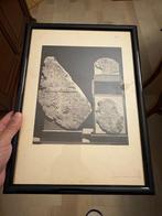 Issued, from Le Musée Égyptien, Cairo, 1890. - 1890 printed