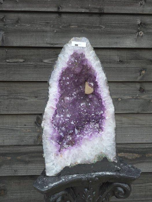 Geen minimumprijs - XL Amethist Geode Amethist - Hoogte:, Verzamelen, Mineralen en Fossielen