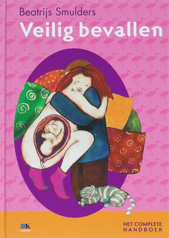 Veilig bevallen / Veilig-serie 9789021581088, Livres, Grossesse & Éducation, Envoi