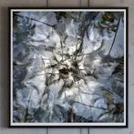 Ben Dauchez - An after noon at Majorelle