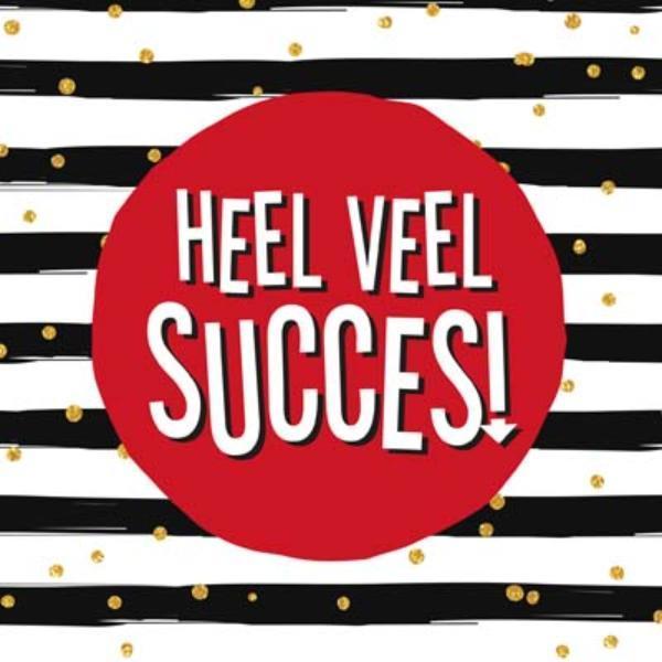 Heel veel succes 9789461888730 Gerd de Ley, Boeken, Stripverhalen, Zo goed als nieuw, Verzenden