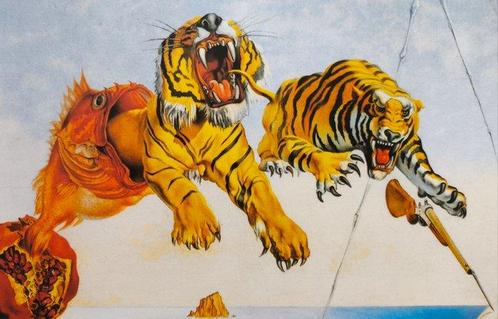 Salvador Dalí (1904-1989) (after) - Rêve Causé Par Le Vol, Antiek en Kunst, Kunst | Tekeningen en Fotografie