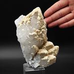 Quarzkaktus latteo bedekt met beige dolomiet, Roemenië