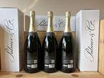 Palmer & Co, Brut Réserve - Champagne Brut - 3 Magnums, Nieuw
