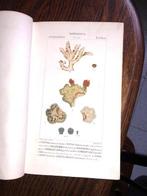 [Various] - Dizionario delle scienze naturali - 1842