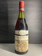 1979 Domaine de la Romanee-Conti - Grands Échezeaux Grand, Verzamelen, Wijnen, Nieuw