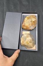 . Prehistorie Paleolithicum - 1 biface en 1 harde hamer uit