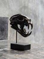 sculptuur, NO RESERVE PRICE - Brown Snow Leopard Skull on a