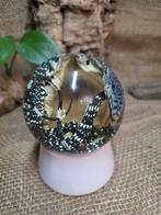 Varaan Taxidermie volledige montage - Waran Varanus salvator