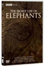 The Secret Life of Elephants DVD (2009) Iain Douglas, Zo goed als nieuw, Verzenden