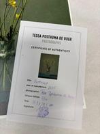 Tessa Posthuma de Boer (1968–) - Buttercup
