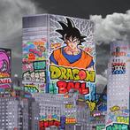 Maxime Blachere - New York Dragon Ball Z XL edition