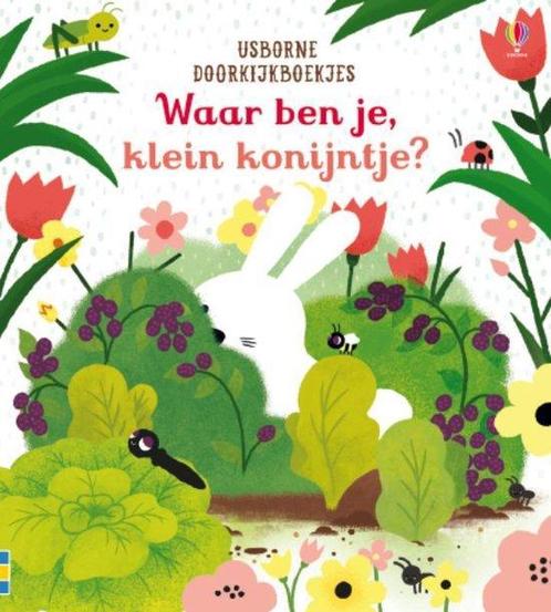 Waar ben je klein konijntje ? 9781474951531 Sam Taplin, Boeken, Overige Boeken, Zo goed als nieuw, Verzenden