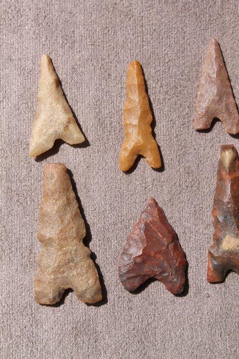 Néolithique grès quartzite Tête de flèche (Sans Prix de, Antiek en Kunst, Antiek | Overige Antiek