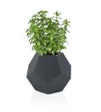 Grote Bloempot Alma | OP = OP | 40% Korting, Kunststof, 40 cm of meer, Verzenden, Vierkant
