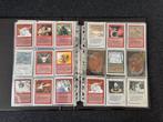 Wizards of The Coast - 340 Card - Magic: The Gathering, Nieuw