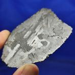 -Verbazingwekkende Snede- METEORITE Campo del Cielo