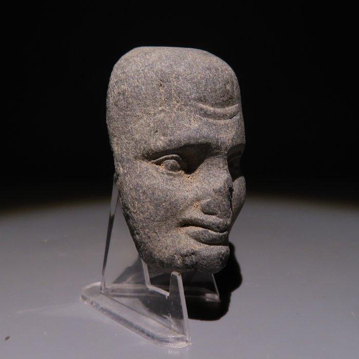 Gandhara Schiste Figure de tête de moine. 1er-5e siècle, Verzamelen, Mineralen en Fossielen