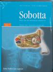Sobotta / 1 Hoofd, hals, bovenste extremiteit