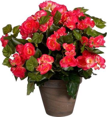Tweedekans | Mica Decorations Kunstplant - begonia - donker beschikbaar voor biedingen