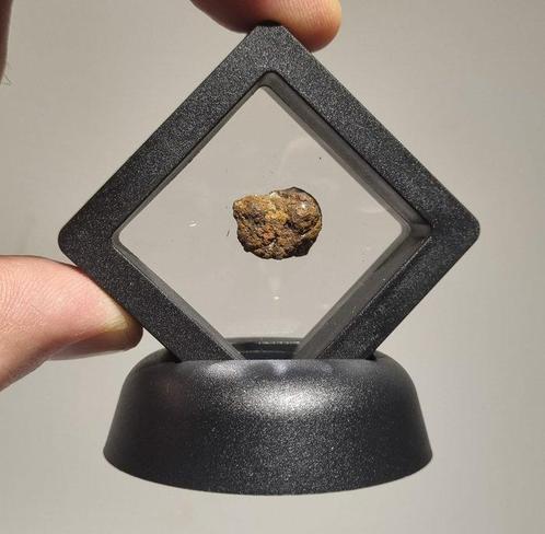 Meteorieten collectie - SERICHO - AL HAGGOUNIA 001 - in, Verzamelen, Mineralen en Fossielen