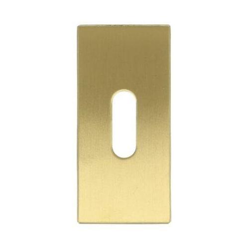 Sleutelplaatje rechthoekig verdekt PVD mat goud, Bricolage & Construction, Châssis & Portes coulissantes, Enlèvement ou Envoi