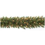 NIEUW - Guirlande Forest Frosted LED 270 cm, Verzenden, Nieuw