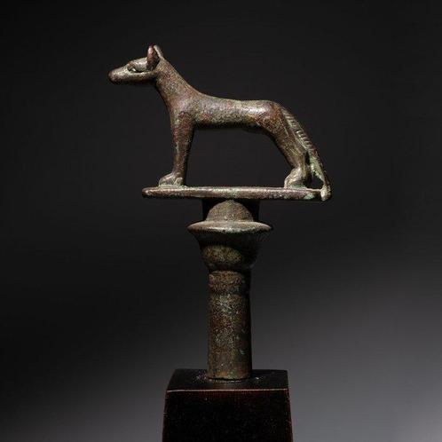 Oud-Egyptisch Brons God Wepwawet - Upuaut scepter eindstuk., Verzamelen, Mineralen en Fossielen